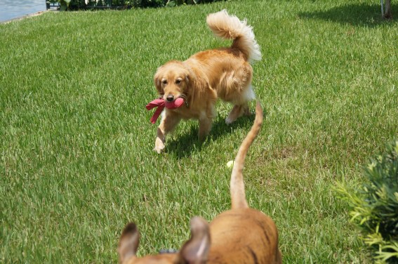 shutterstock_770094364 (1)